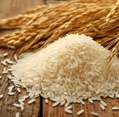 Rice