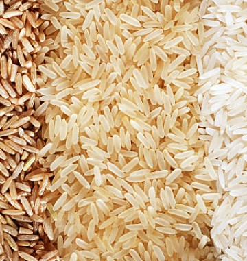 Rice